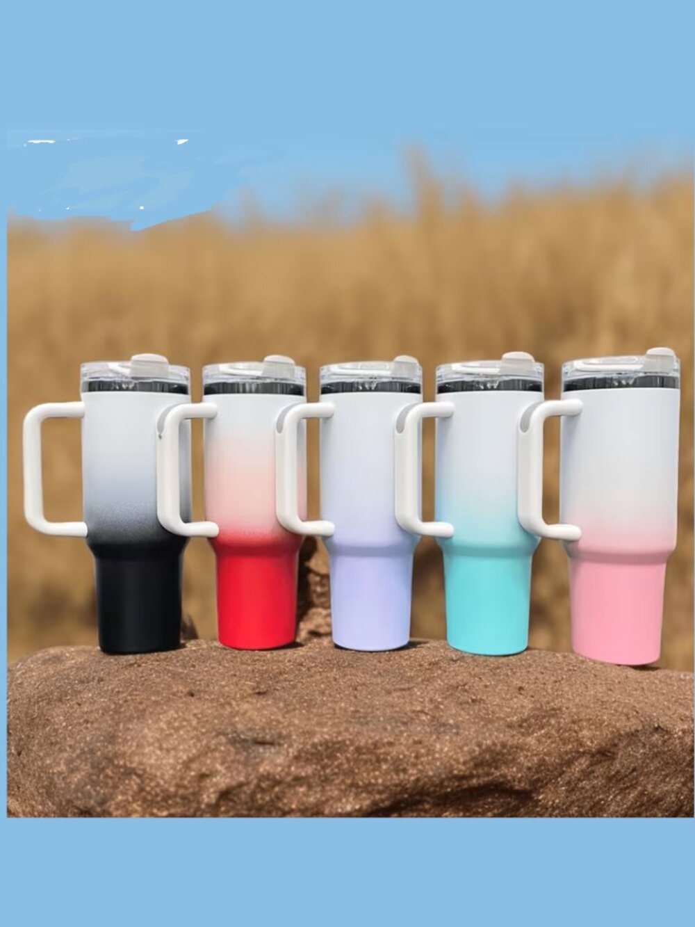 40oz Tumbler Ombre Stainless Steel NEW